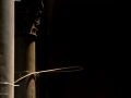 20141015_052