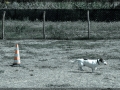 20150927_205