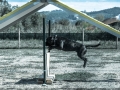 20150927_265