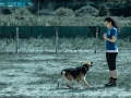 20150927_092