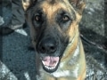 20150927_004