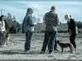 20150927_042