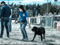 20150927_073