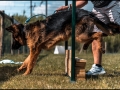 20150530_021