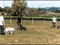 20150530_034