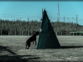 20150517_146