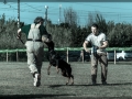 20150517_151
