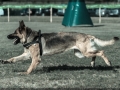 20150517_159