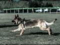 20150517_160
