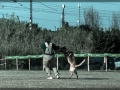 20150517_169