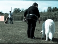 20150509_005