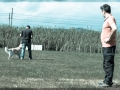 20150509_010