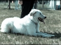 20150509_012