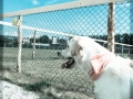 20150509_025