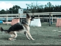 20150509_054