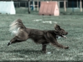 20150509_058