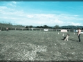 20150509_061