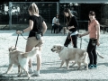 20150509_066