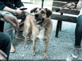 20150509_073