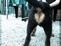 20150509_077