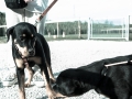 20150509_078